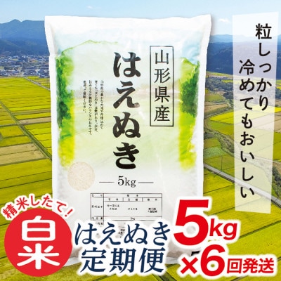 【発送月固定定期便】買い忘れなしで美味しいはえぬき5kg(白米)が届く全6回