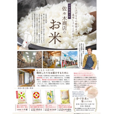 【発送月固定定期便】買い忘れなしで美味しいはえぬき5kg(白米)が届く全6回