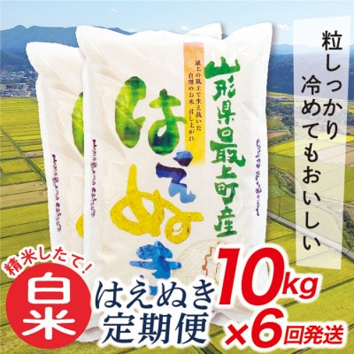 【発送月固定定期便】買い忘れなしで美味しいはえぬき10kg(白米)が届く全6回