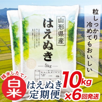 【発送月固定定期便】買い忘れなしで美味しいはえぬき10kg(白米)が届く全6回