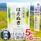 【発送月固定定期便】買い忘れなしで美味しいはえぬき5kg(無洗米)が届く全6回