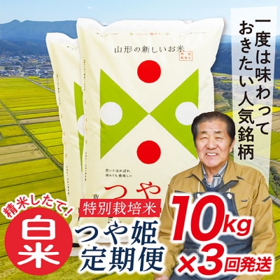 【毎月定期便】買い忘れなしで美味しい特別栽培米つや姫10kg(白米)が届く全3回