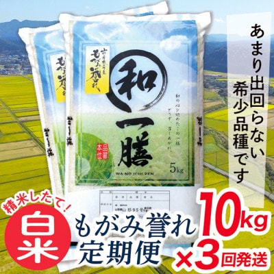 【毎月定期便】買い忘れなしで美味しいもがみ誉れ10kg(白米)が届く全3回