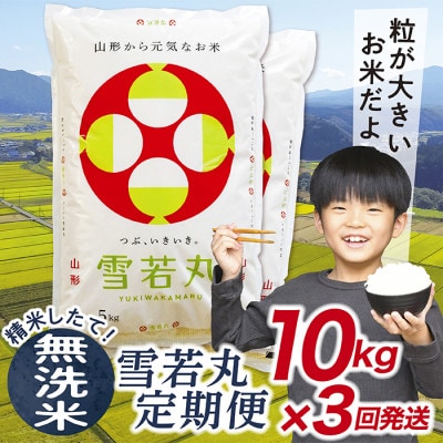 【毎月定期便】買い忘れなしで美味しい雪若丸10kg(無洗米)が届く全3回