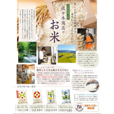 【毎月定期便】買い忘れなしで美味しい雪若丸10kg(無洗米)が届く全3回