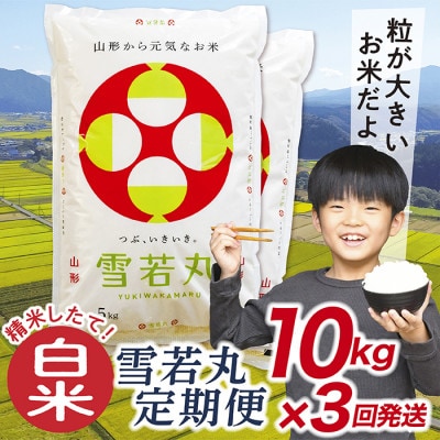 【毎月定期便】買い忘れなしで美味しい雪若丸10kg(白米)が届く全3回