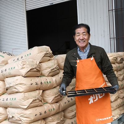 【毎月定期便】買い忘れなしで美味しいもがみ誉れ5kg(無洗米)が届く全2回