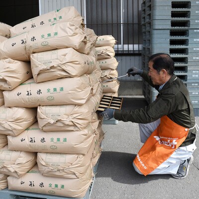 【毎月定期便】買い忘れなしで美味しいもがみ誉れ10kg(無洗米)が届く全3回