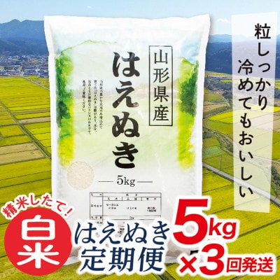 【毎月定期便】買い忘れなしで美味しいはえぬき5kg(白米)が届く全3回
