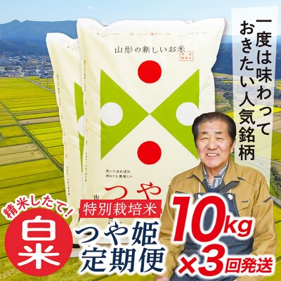 【発送月固定定期便】買い忘れなしで美味しい特別栽培米つや姫10kg(白米)が届く全3回