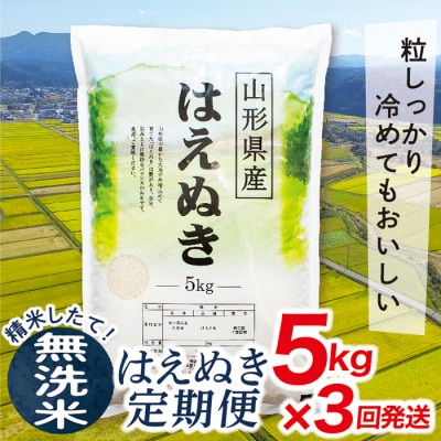 【発送月固定定期便】買い忘れなしで美味しいはえぬき5kg(無洗米)が届く全3回