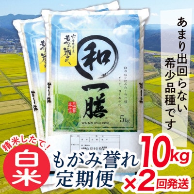 【発送月固定定期便】買い忘れなしで美味しいもがみ誉れ10kg(白米)が届く全2回