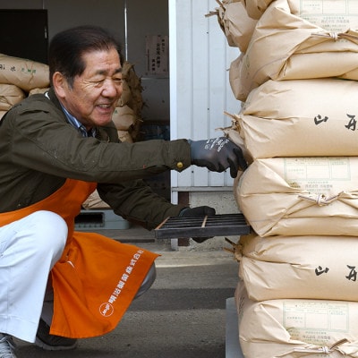 【発送月固定定期便】買い忘れなしで美味しいもがみ誉れ10kg(白米)が届く全2回