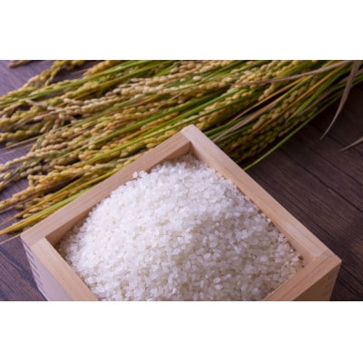 【発送月固定定期便】買い忘れなしで美味しいもがみ誉れ10kg(白米)が届く全2回