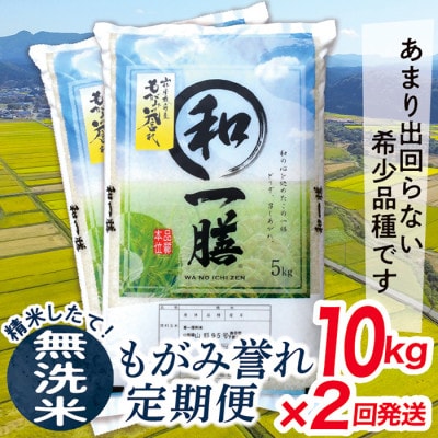 【発送月固定定期便】買い忘れなしで美味しいもがみ誉れ10kg(無洗米)が届く全2回