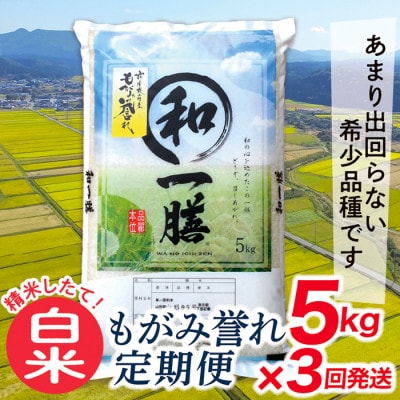 【発送月固定定期便】買い忘れなしで美味しいもがみ誉れ5kg(白米)が届く全3回