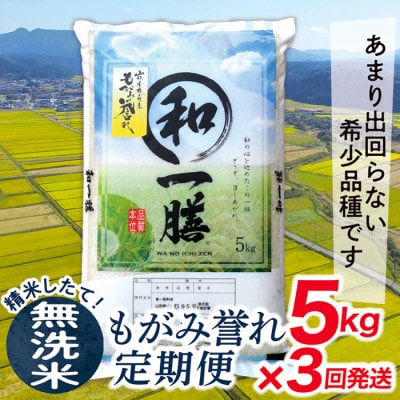 【発送月固定定期便】買い忘れなしで美味しいもがみ誉れ5kg(無洗米)が届く全3回