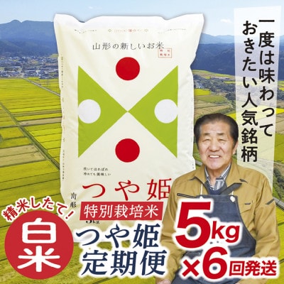 【発送月固定定期便】買い忘れなしで美味しいつや姫5kg白米)が届く全6回