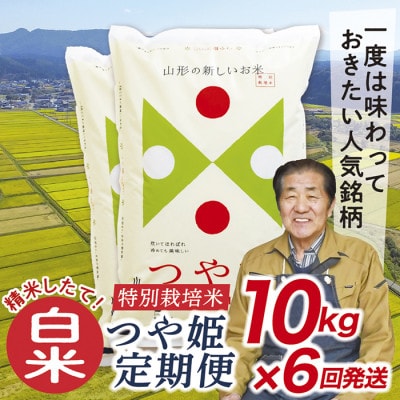 【発送月固定定期便】買い忘れなしで美味しい特別栽培米つや姫10kg(白米)が届く全6回