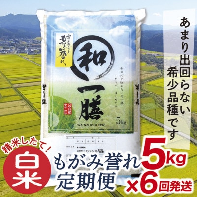 【発送月固定定期便】買い忘れなしで美味しいもがみ誉れ5kg(白米)が届く全6回