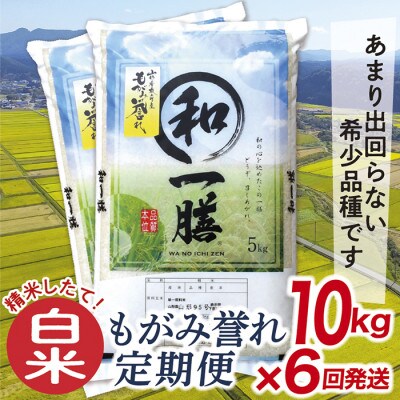 【発送月固定定期便】買い忘れなしで美味しいもがみ誉れ10kg(白米)が届く全6回