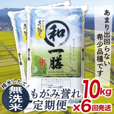 【発送月固定定期便】買い忘れなしで美味しいもがみ誉れ10kg(無洗米)が届く全6回