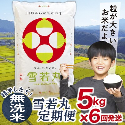 【発送月固定定期便】買い忘れなしで美味しい雪若丸5kg(無洗米)が届く全6回