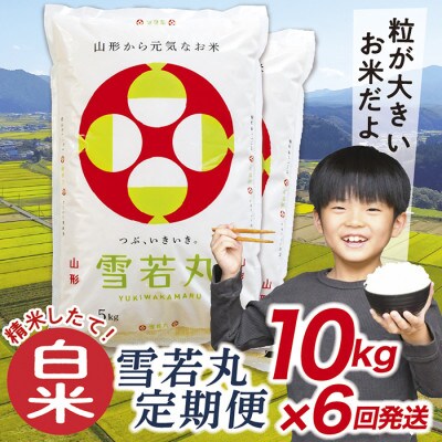 【発送月固定定期便】買い忘れなしで美味しい雪若丸10kg(白米)が届く全6回