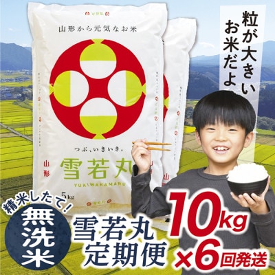 【発送月固定定期便】買い忘れなしで美味しい雪若丸10kg(無洗米)が届く全6回