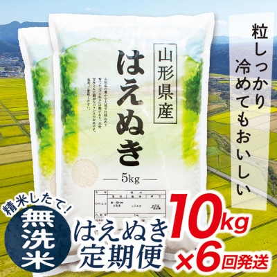 【発送月固定定期便】買い忘れなしで美味しいはえぬき10kg(無洗米)が届く全6回