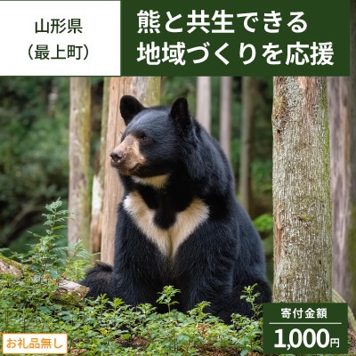【返礼品なし】熊との共生を目指して～熊による人的被害の防止対策・環境整備へのご支援を～ 1,000円
