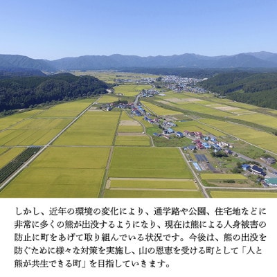 【返礼品なし】熊との共生を目指して～熊による人的被害の防止対策・環境整備へのご支援を～ 5,000円