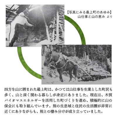 【返礼品なし】熊との共生を目指して～熊による人的被害の防止対策・環境整備へのご支援を～10,000円