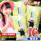 令和7年産『甲佐の輝き』無洗米16kg【配送指定可】【ZP】