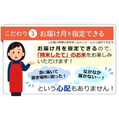 【月指定可能】令和4年新米・無洗米【熊本県産・合計16kg】(5kg×2袋、6kg×1袋)