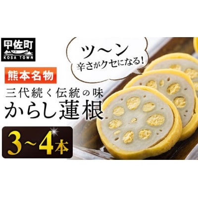 【3代続く伝統の味】ピリッとうまか!熊本からし蓮根(3本～4本)