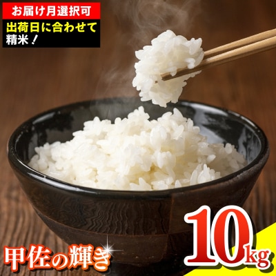令和7年産『甲佐の輝き』精米10kg【配送指定可】【ZK】