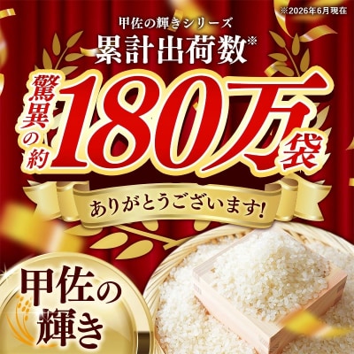 令和7年産『甲佐の輝き』精米10kg【配送指定可】【ZN】