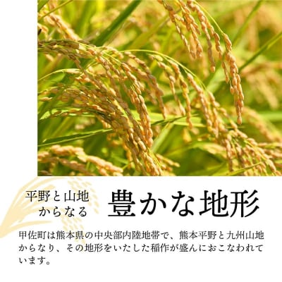 令和7年産『甲佐の輝き』精米10kg【配送指定可】【ZN】