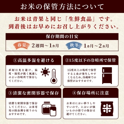 令和7年産『甲佐の輝き』精米10kg【配送指定可】【ZN】