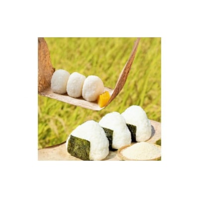 ★令和8年11月から発送予定★甲佐町　上田晋也さんが育てた美味しいお米【白米30kg】ZA 