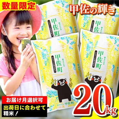令和7年産新米『甲佐の輝き』精米20kg【配送指定可】【ZI】