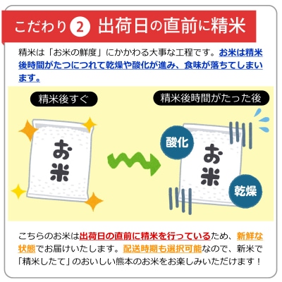 令和7年産新米『甲佐の輝き』精米20kg【配送指定可】【ZI】