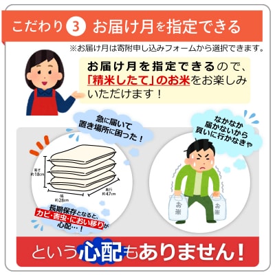 令和7年産新米『甲佐の輝き』精米20kg【配送指定可】【ZI】