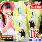 令和7年産【定期便3ヶ月】 無洗米16kg【配送指定可】【ZP】
