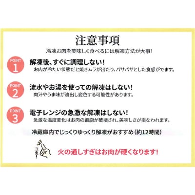 味付け ネギ塩 厚切り 牛タン 焼肉1000g(500g×2パック)合計1kg
