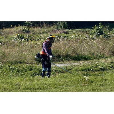 【キャンプ】津志田河川自然公園の維持管理(5万円)