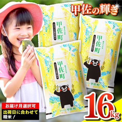 令和7年産新米【定期便3ヶ月】『甲佐の輝き』精米16kg【配送指定可】【ZL】