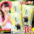 令和7年産【定期便6ヶ月】『甲佐の輝き』精米16kg【配送指定可】【ZL】