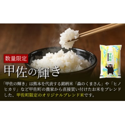 令和7年産新米【定期便6ヶ月】『甲佐の輝き』精米16kg【配送指定可】【ZL】